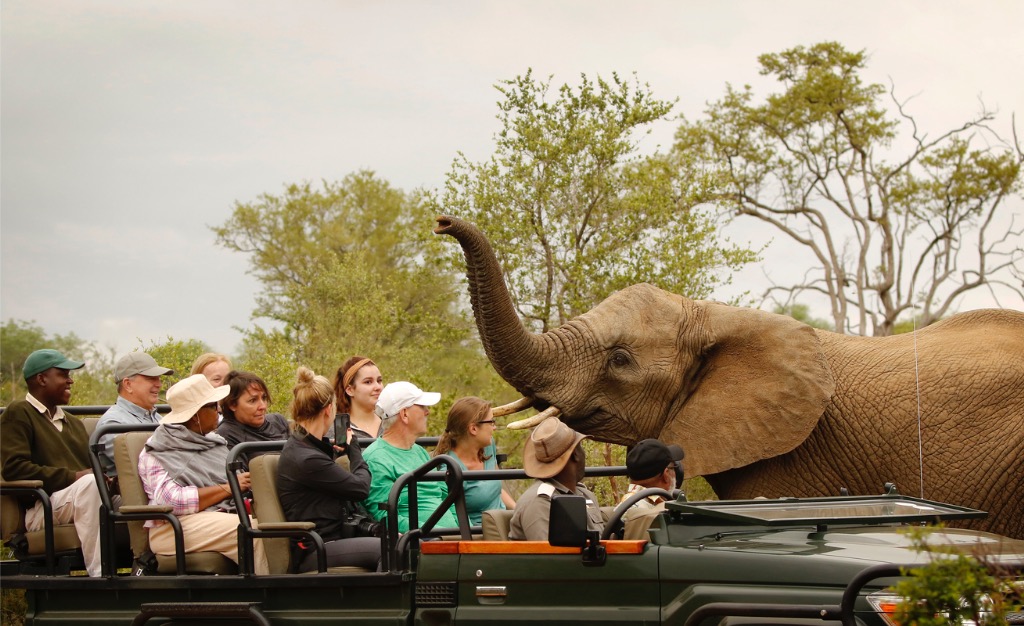 11-Days Kenya African Discovery & Equator Safari