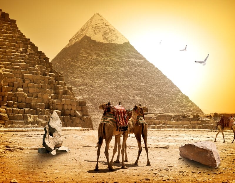 On the Run Tour 03 Nights-04 Days in Cairo (5-Stars)