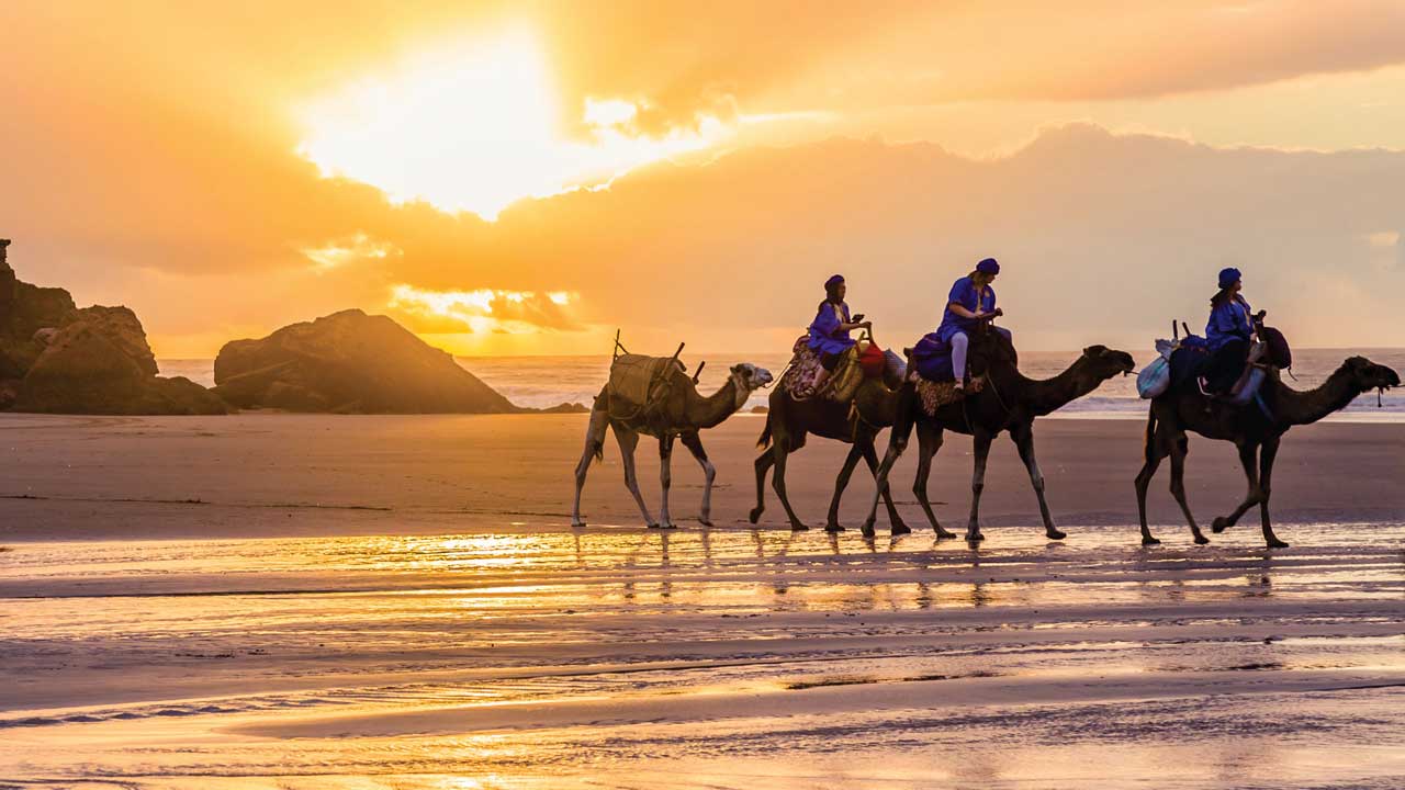 Day Tour Sunset in Oasis Desert