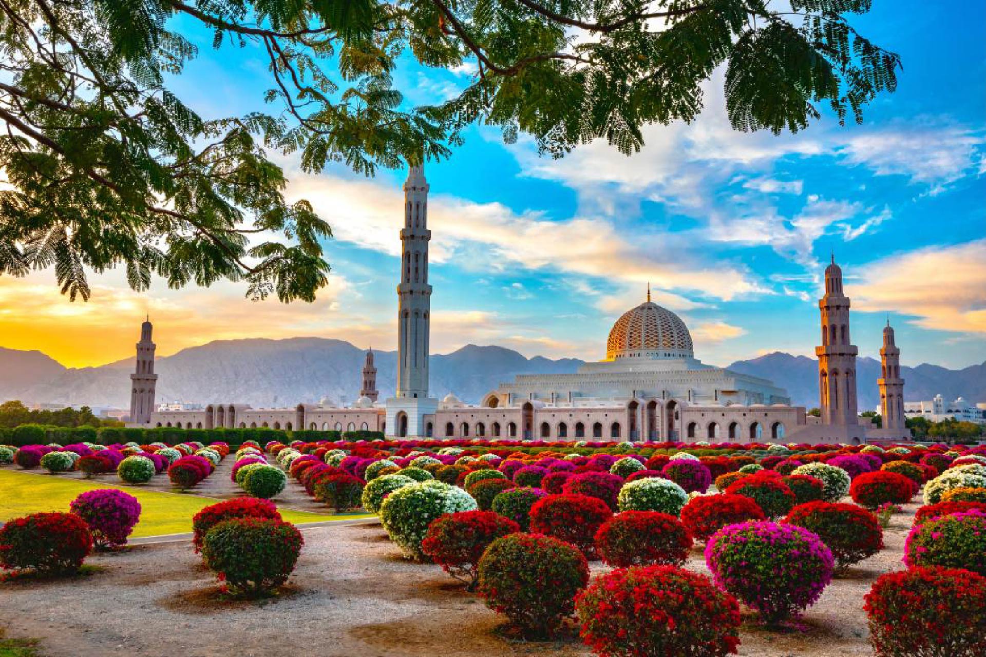 Oman Short Breaks 03 Nights-04 Days Muscat, Sur & Wahiba Sands (4-Stars)