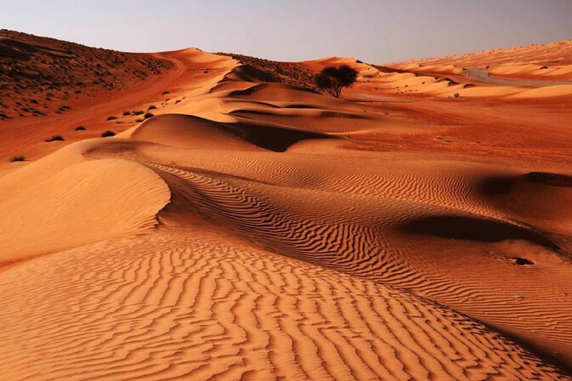 Nature & Culture Of Oman 06 Nights-07 Days Muscat, Nizwa, Wahiba Sands & Sur (4-Stars)