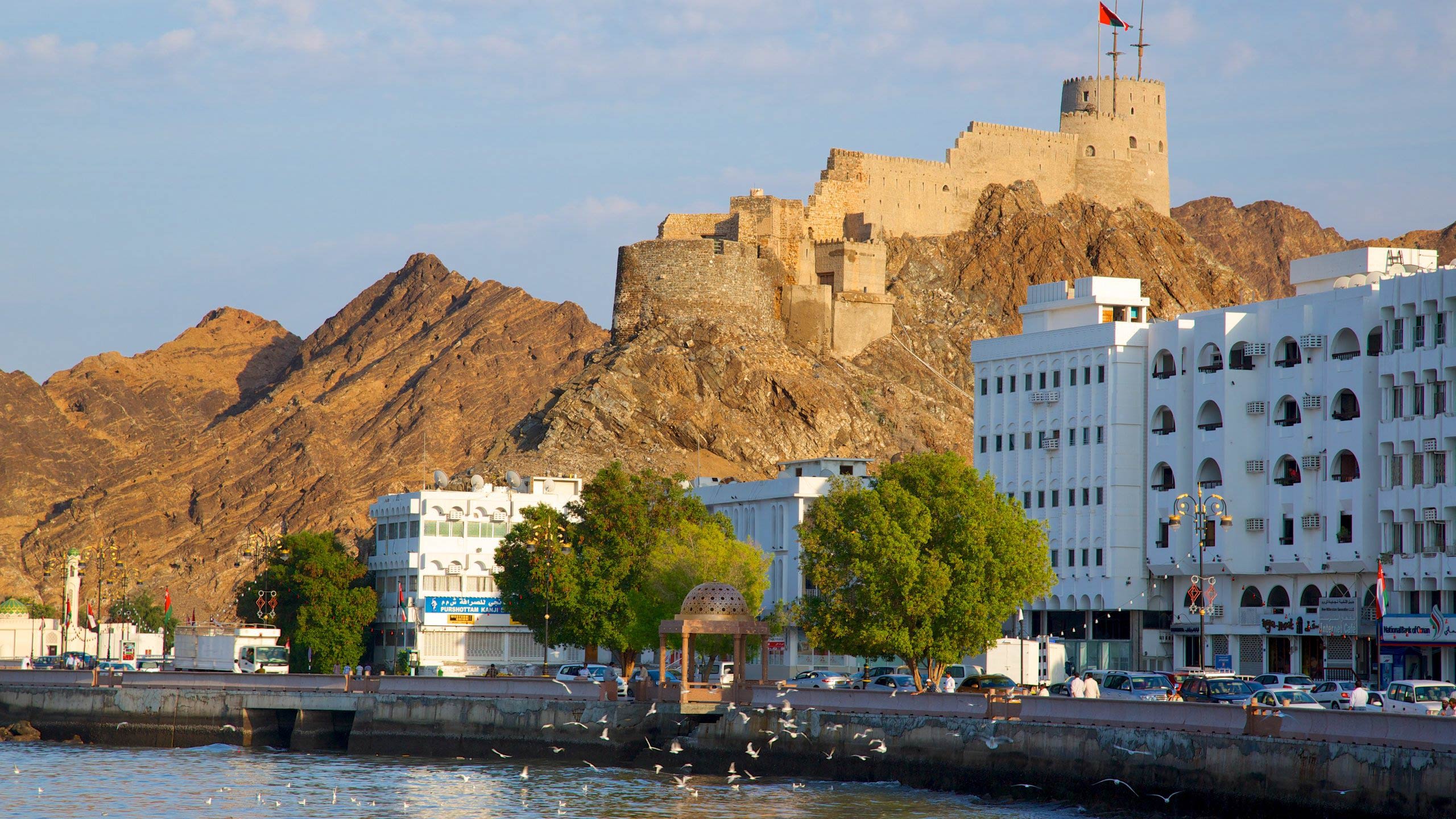 Day Trip From Muscat Sharqiya Sands (Wahiba Sands Adventure)