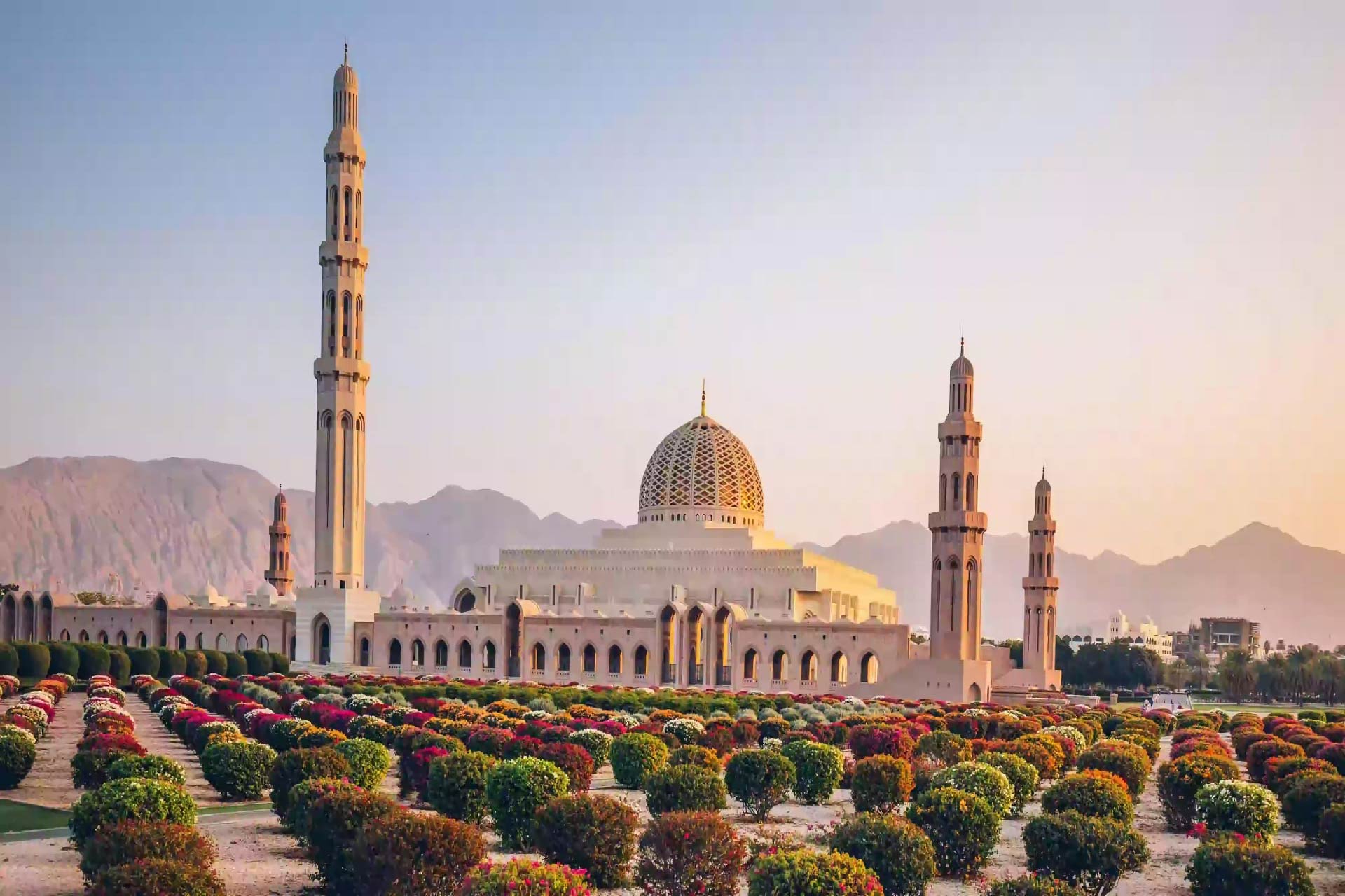 OMAN OVERLAND 13 Nights-14 Days Salalah, Western Dhofar, Sand & Desert, Turtles, Sur, Nakhal, Hajar Mountains & Al Hamra
