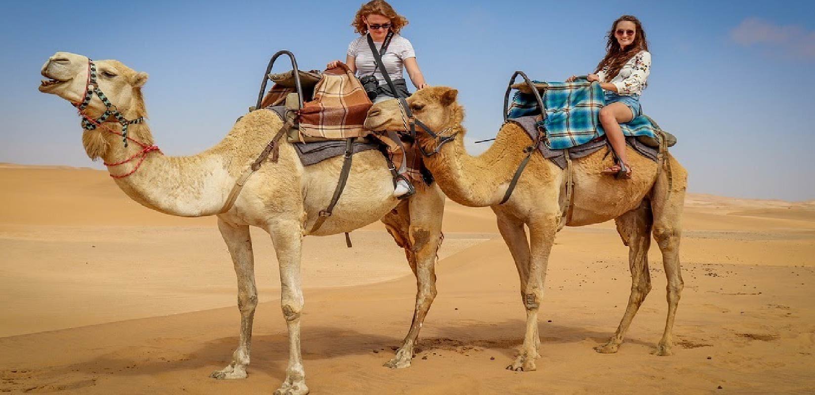 Half-Day Desert Safari Camel Ride, Dune Basing, Sandboarding & Inland Sea Tour