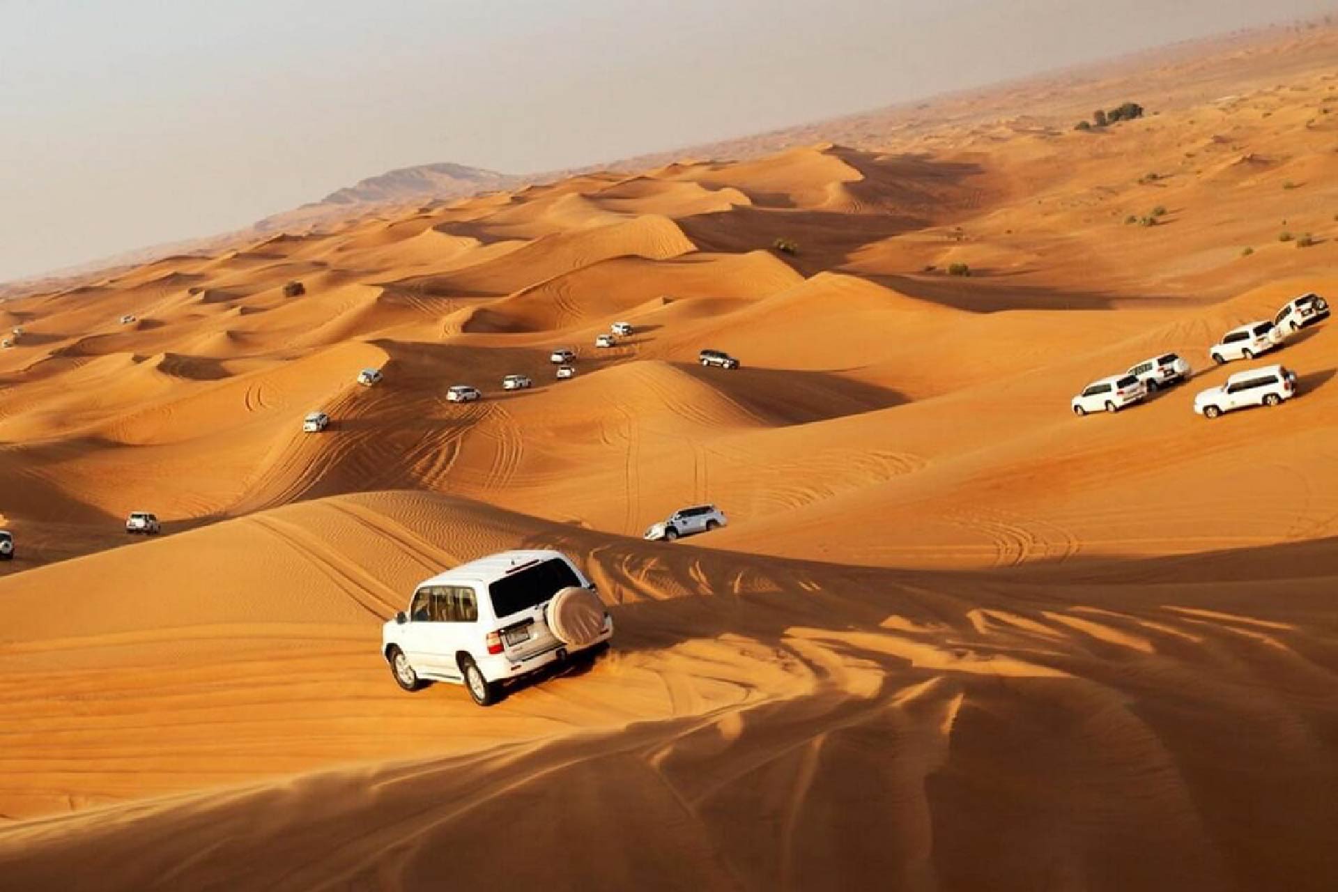 Sunrise or Sunset Qatar Desert Safari