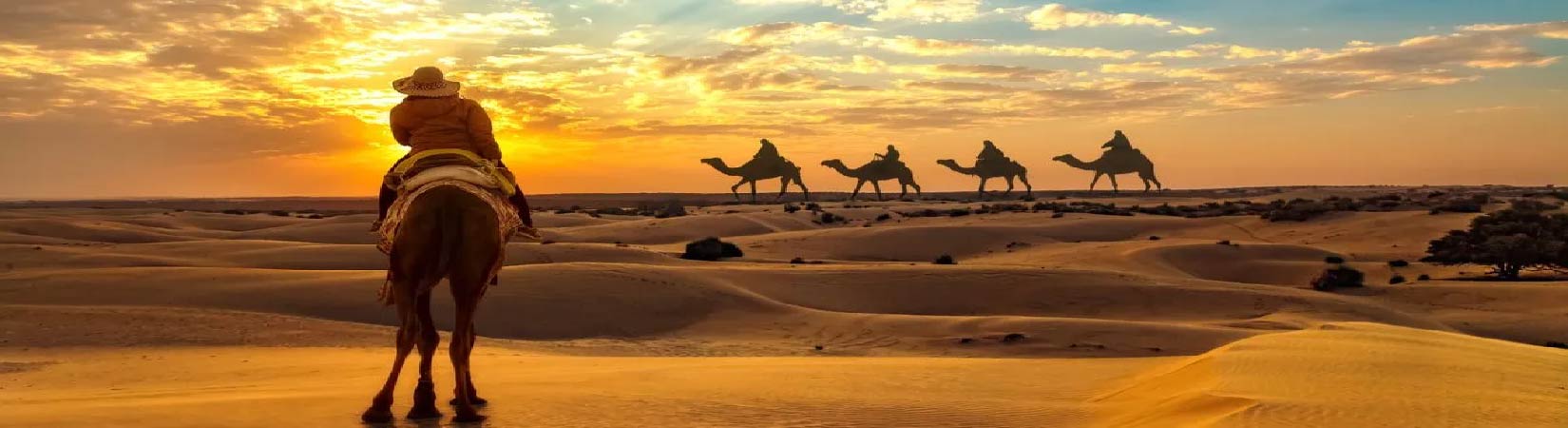 Sunrise or Sunset Qatar Desert Safari