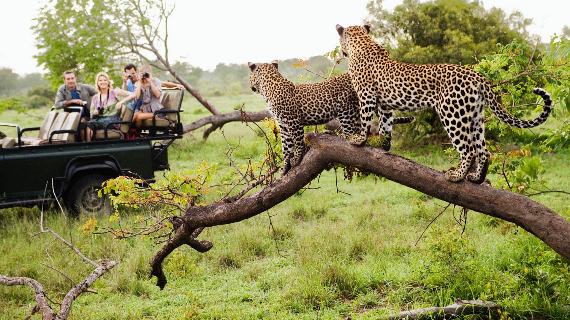 11-Days Kenya African Discovery & Equator Safari