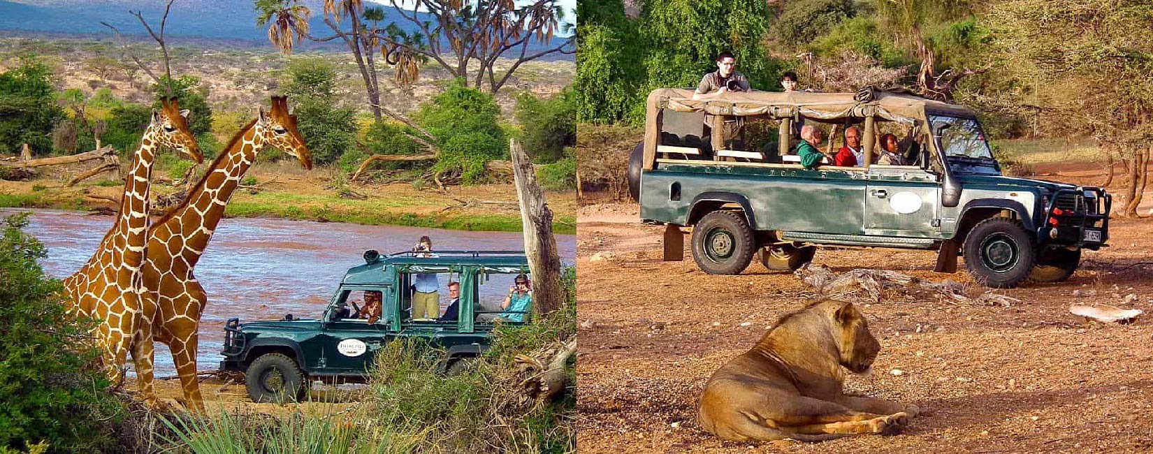 07-Days DISCOVER KENYA Nairobi, Samburu, Lake Nakuru, Masai Mara & National Reserve SAFARIS