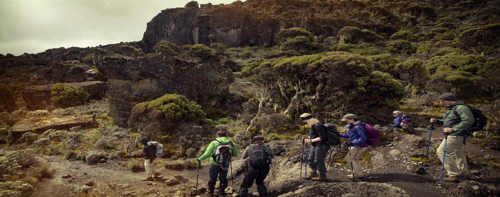 07-Days Kilimanjaro Machame Route (5-Stars)