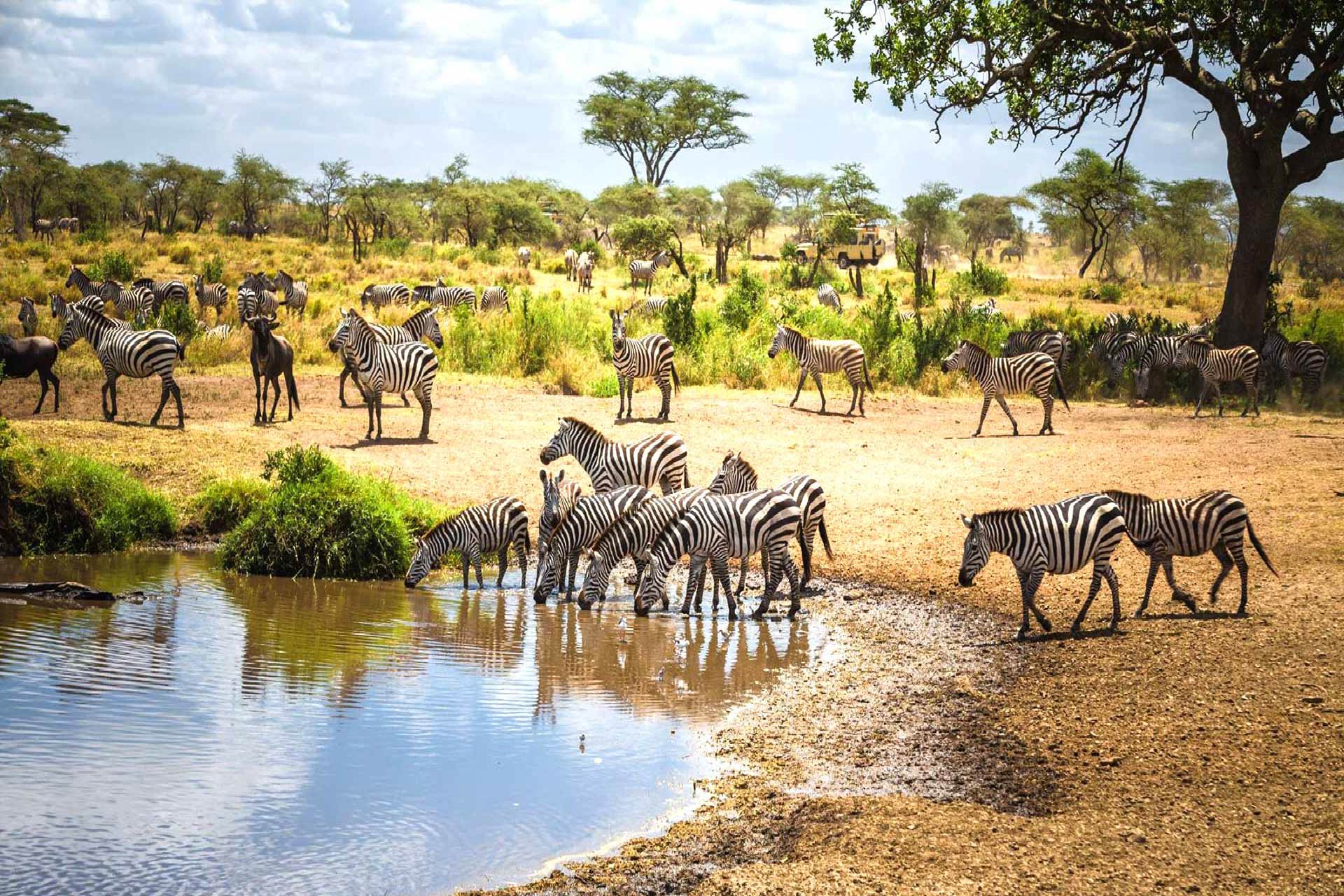 Camping Package 07-Days Tanzania Safari