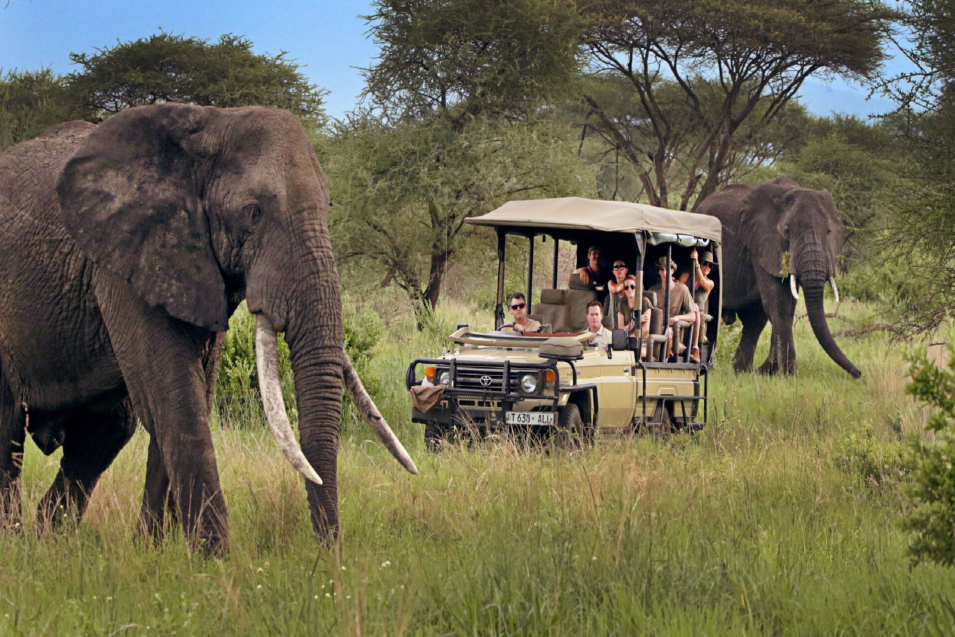 Camping Package 02 Nights-03 Days Tanzania Safari