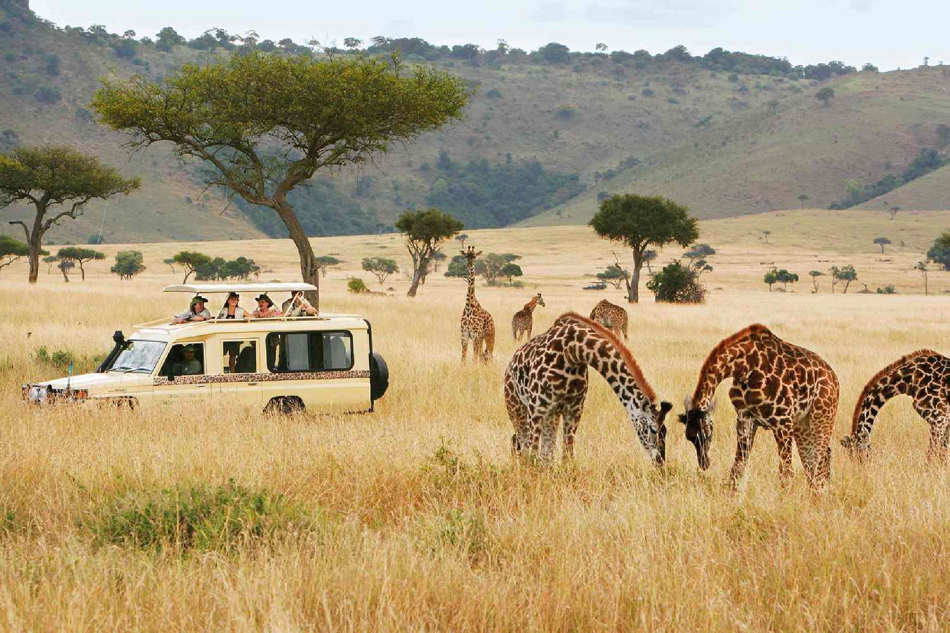 Camping Package 05-Days Tanzania Safari