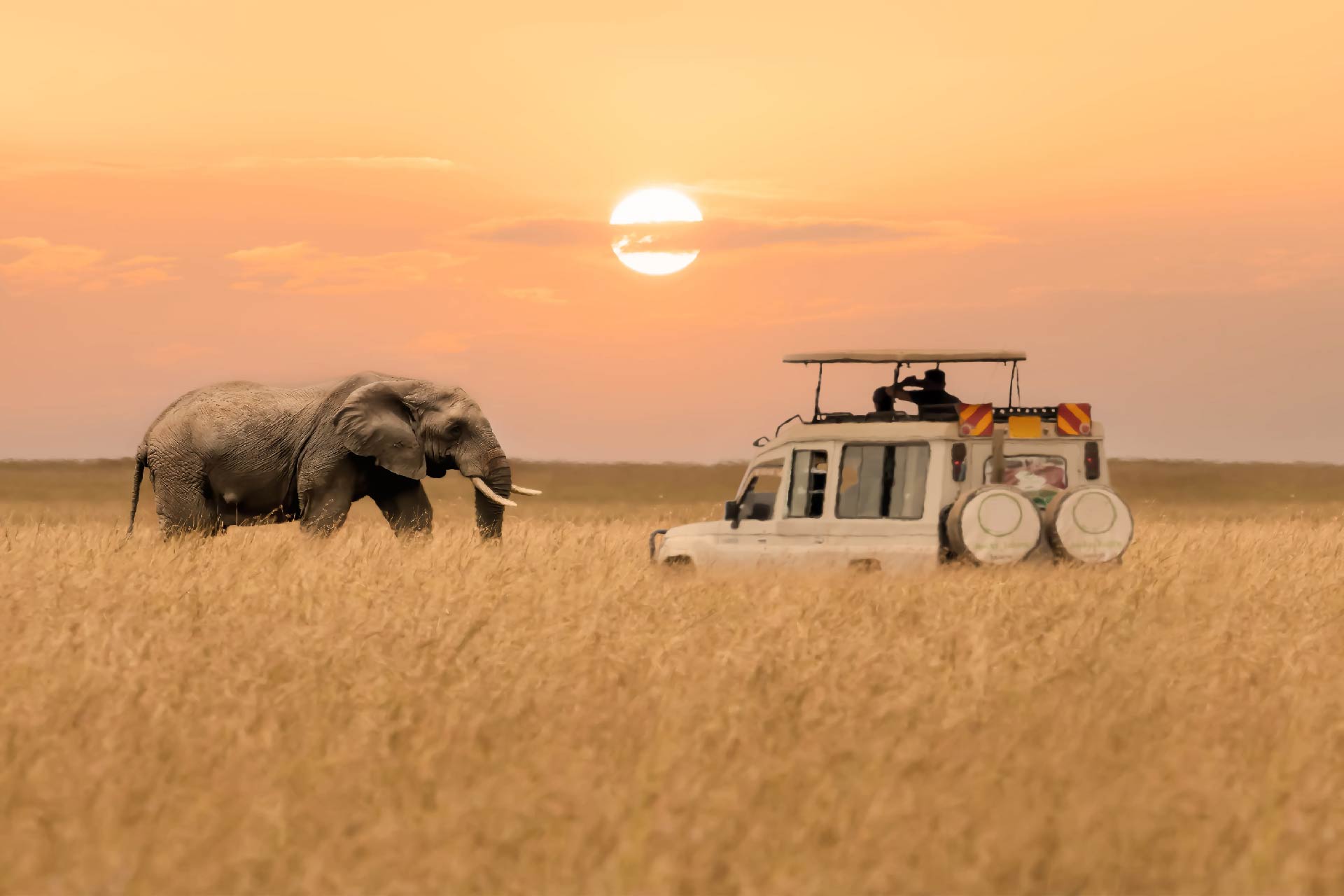 Camping Package 06-Days Tanzania Safari