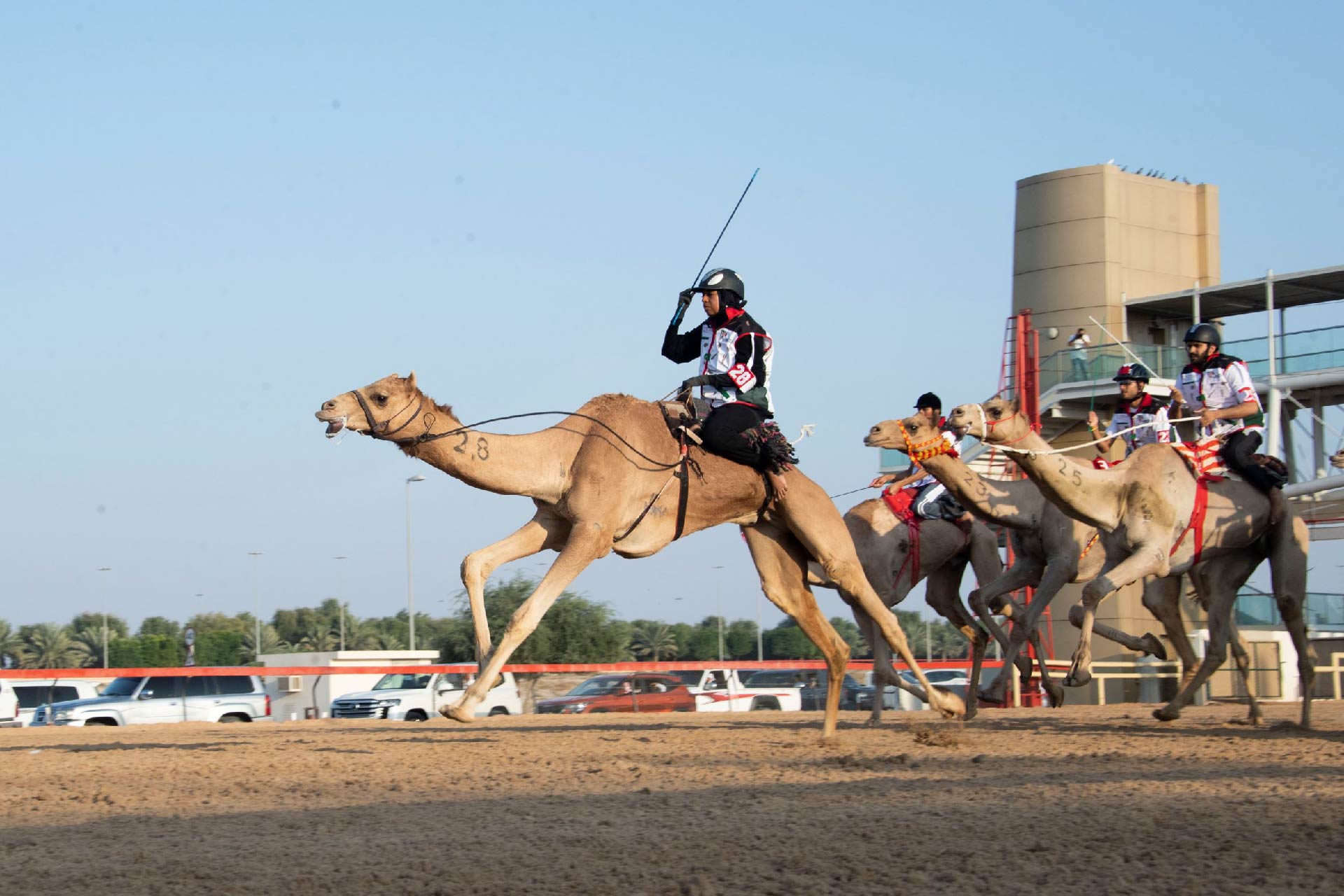 Private Combo Tour Sheikh Faisal Museum & Camel Race Track