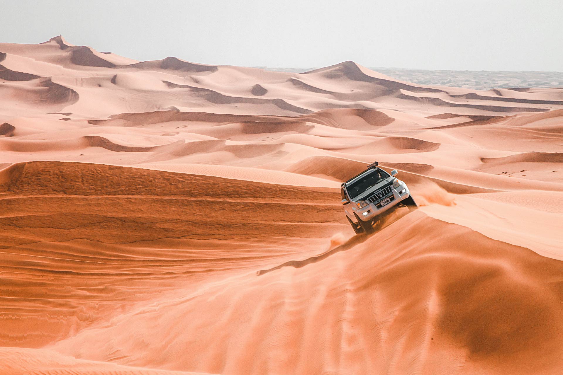 Basic Desert Safari
